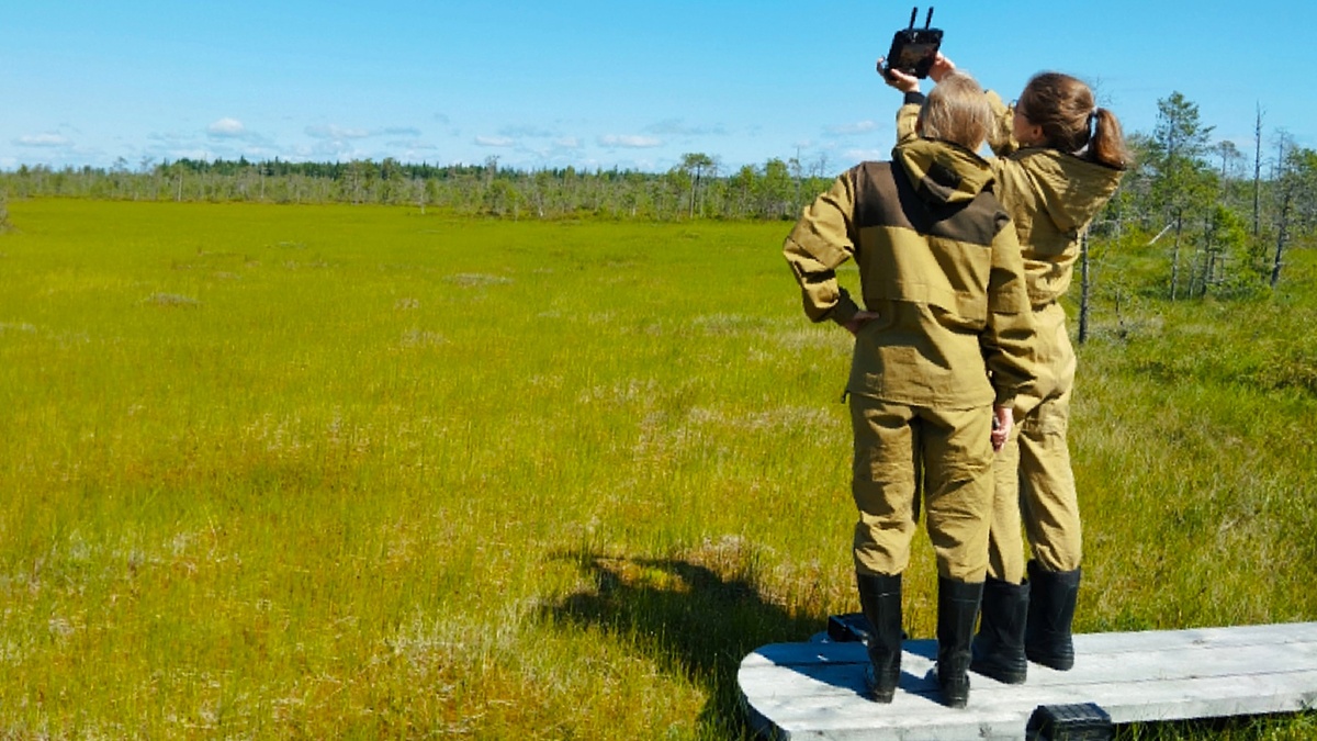    Студенты МГУ прошли практику на болотах Югры