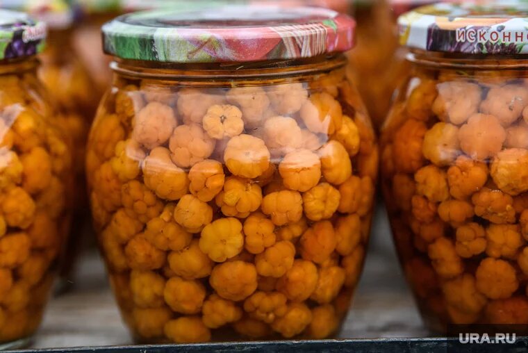 Морошку используют в кулинарии и косметологии. Фото: Илья Московец © URA.RU