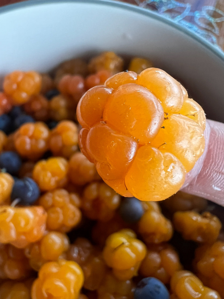 Их в ней больше, чем в моркови и апельсине. Фото: группа «Уральский ЯжеГРИБНИК» во «ВКонтакте»