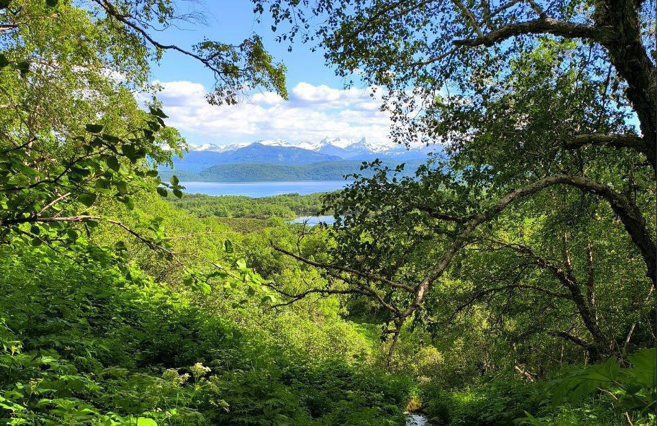 Фото: Вид на озеро Паланское / КамГУ им. Витуса Беринга