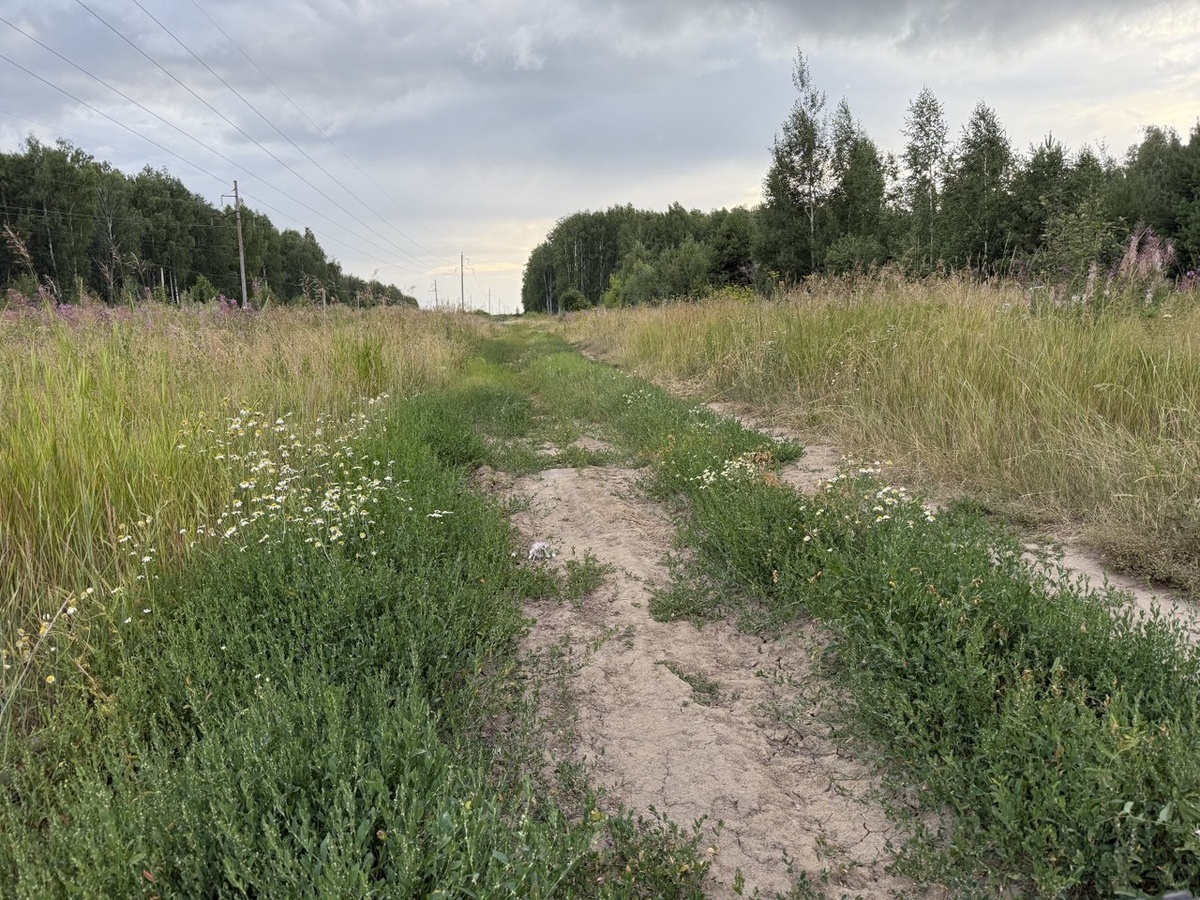 Фото автора канала Дом с кипарисами
