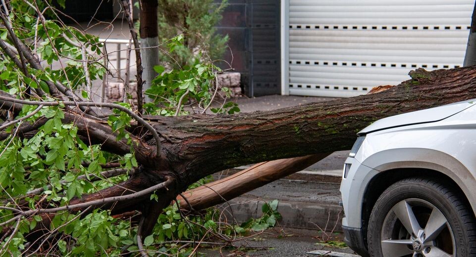    Svetlana Vozmilova/Global Look Press / www.globallookpress.com