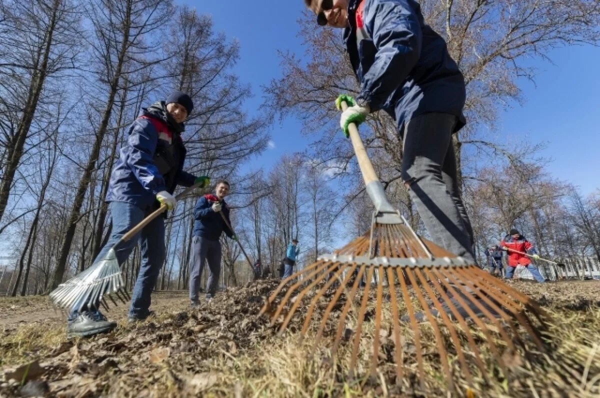    Пенсионерам из Кузбасса вручат садовый инвентарь за ж/д поездки