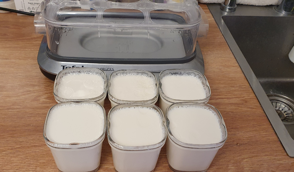 Йогурт из козьего молока. Фото автора.