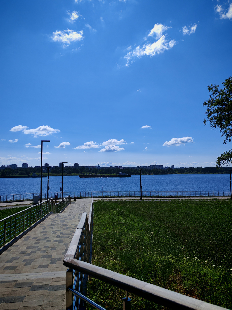 Вдоль берега Шексны