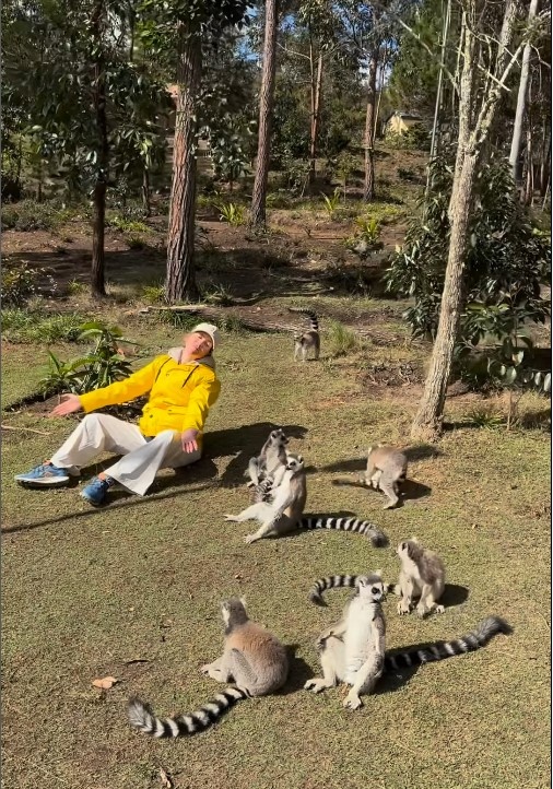 Лемуры загорают