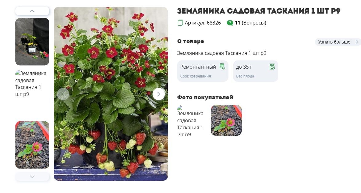 Срин страницы питомника