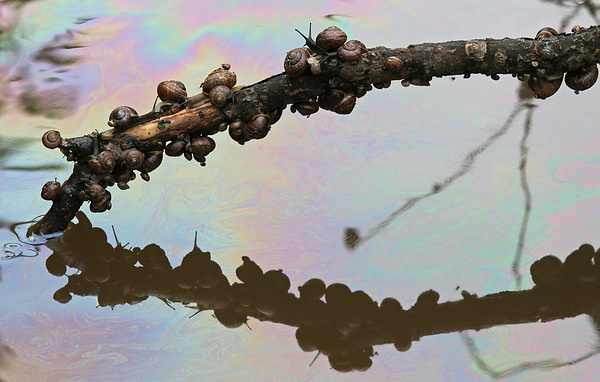 Владимир Гердо/ТАСС