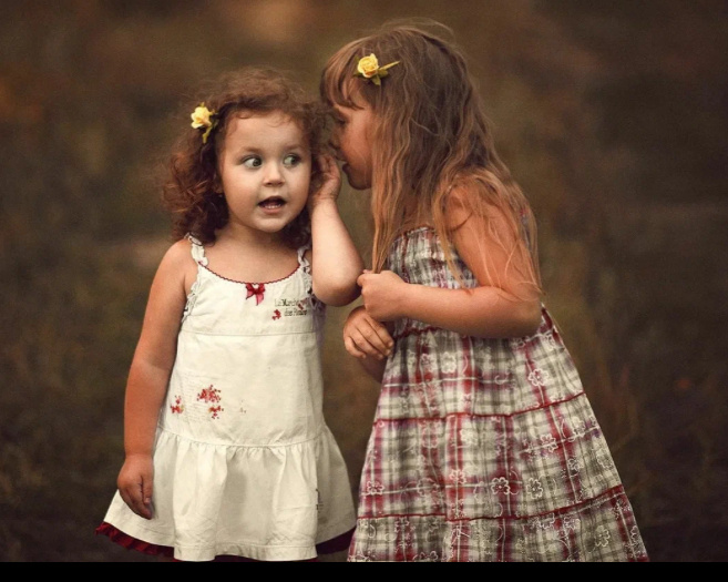 Фото из интернета 