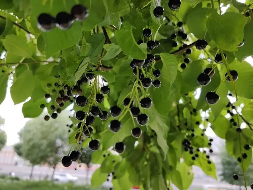     © "Интерфакс". Марина Леонова