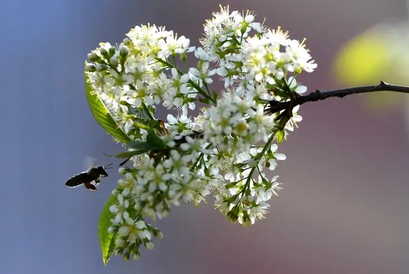    © РИА Новости. Илья Наймушин