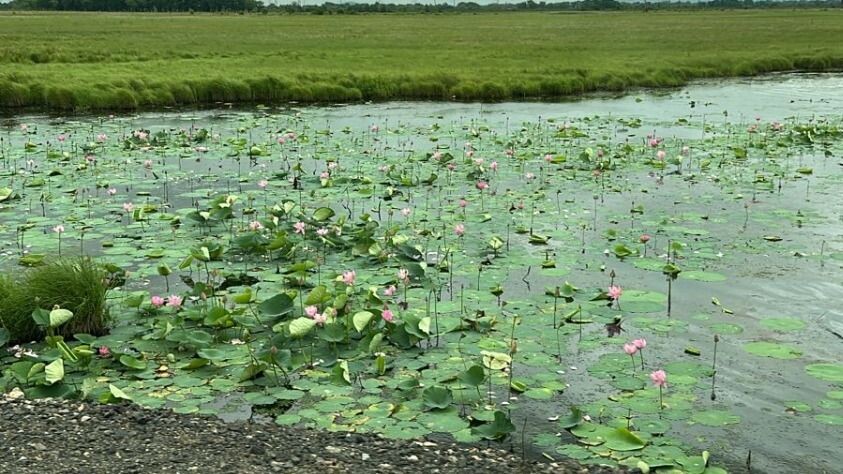     Источник: vostokmedia.com