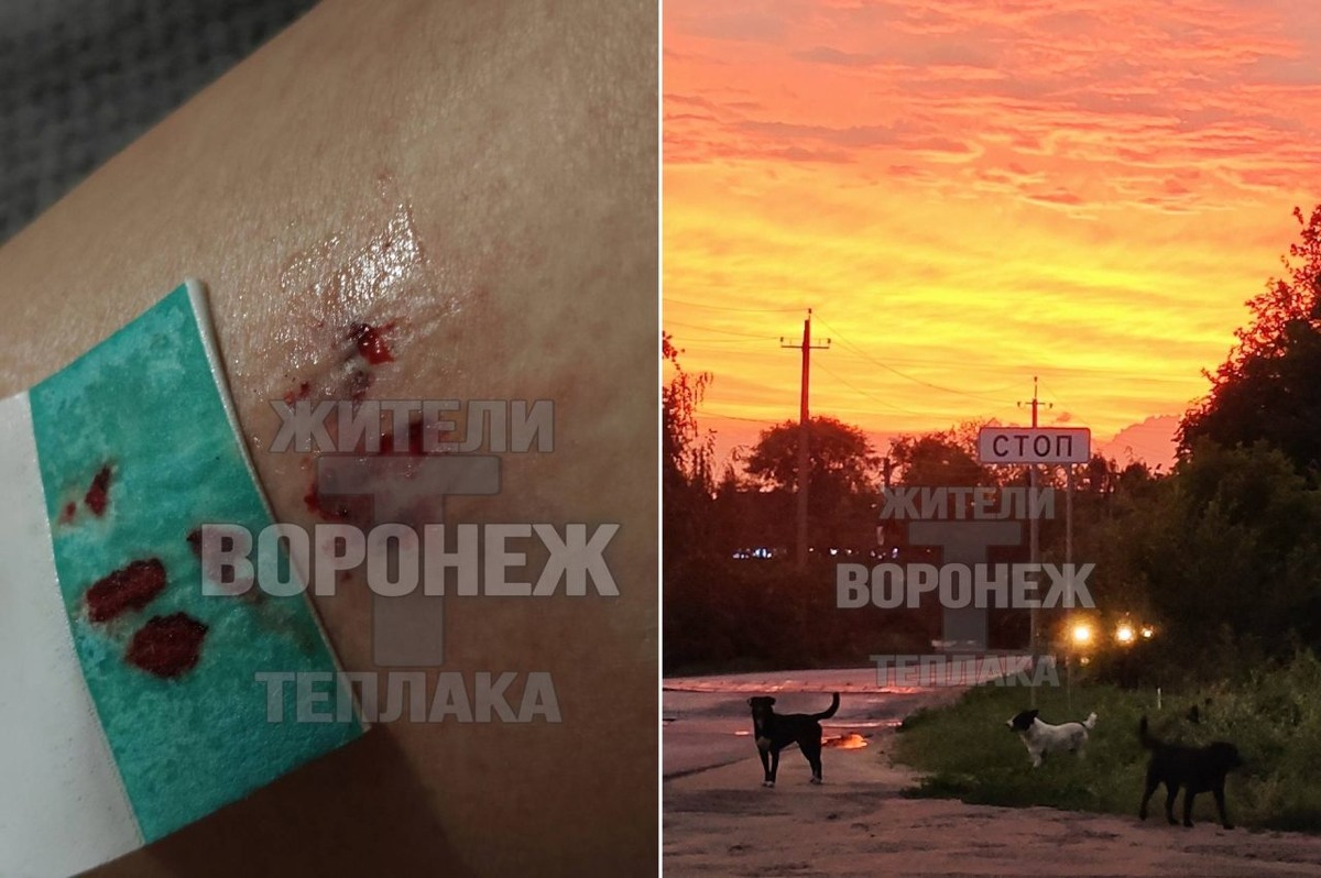     Фото: Жители Тенистого