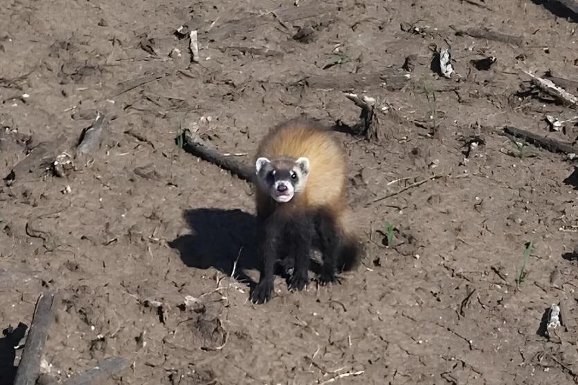 Фото: Виктор Зарицкий