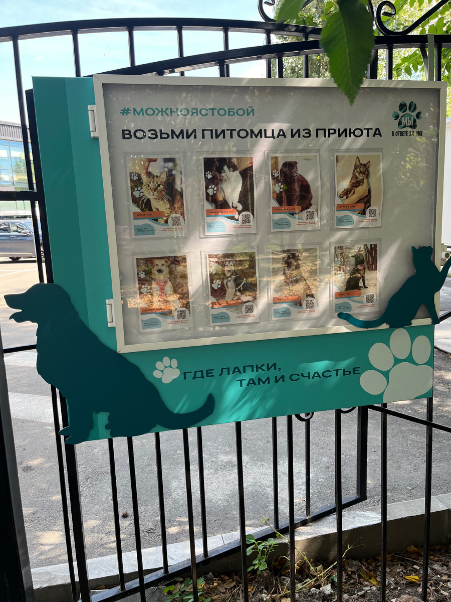 Василиса не могла пройти мимо