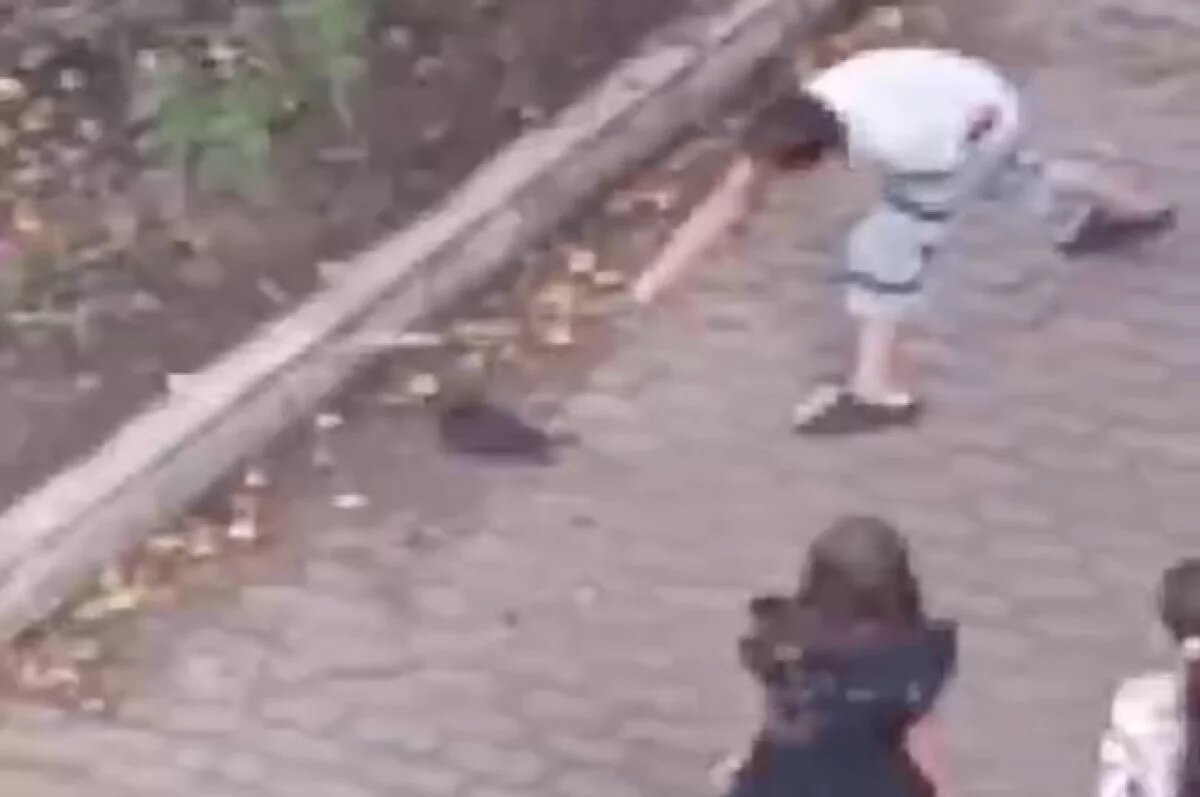    На видео опубликованном в социальных сетях видно, как дети держат палки в руках, по очереди избивают птицу несколько раз