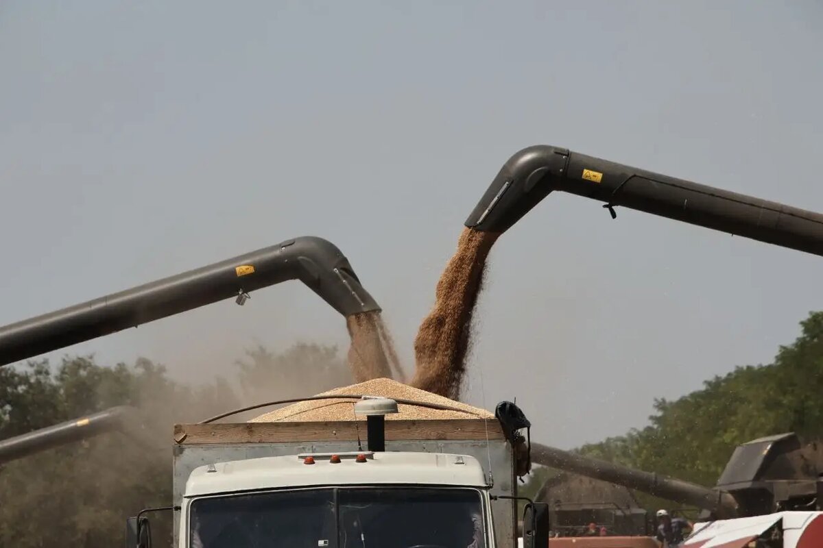     ©"Интерфакс". Федор Ларин