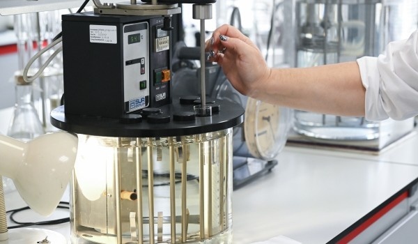 фото: РИА Новости/Константин Михальчевский