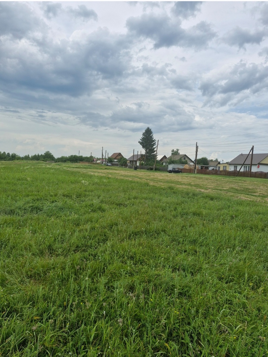 ВОТ ТО МЕСТО ГДЕ ЖИЛИ МОИ БАБУШКА И ДЕДУШКА(дом, где ель)