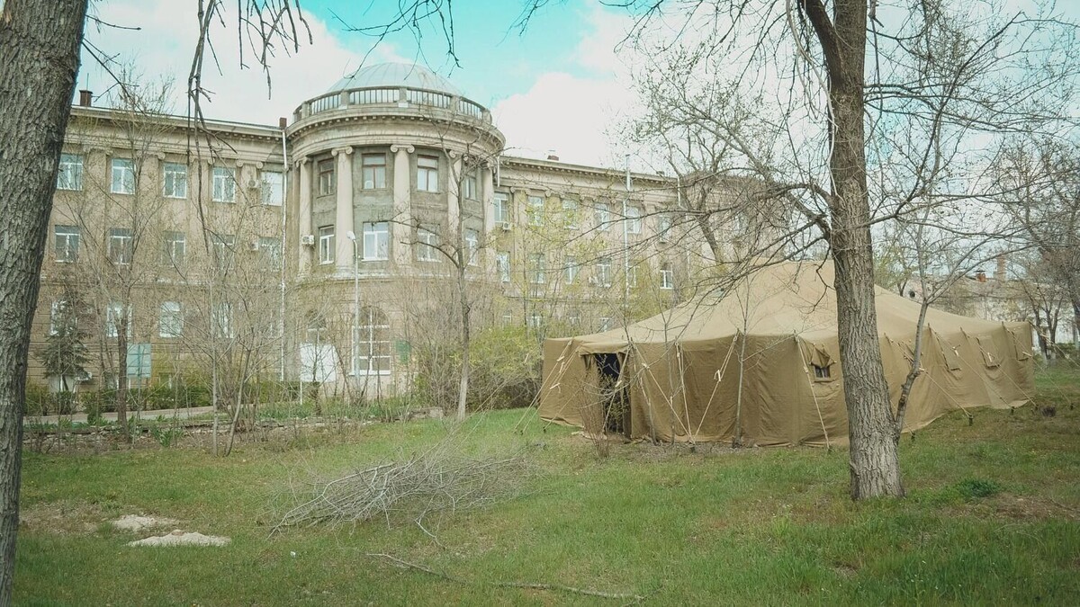     Источник: novostivolgograda.ru