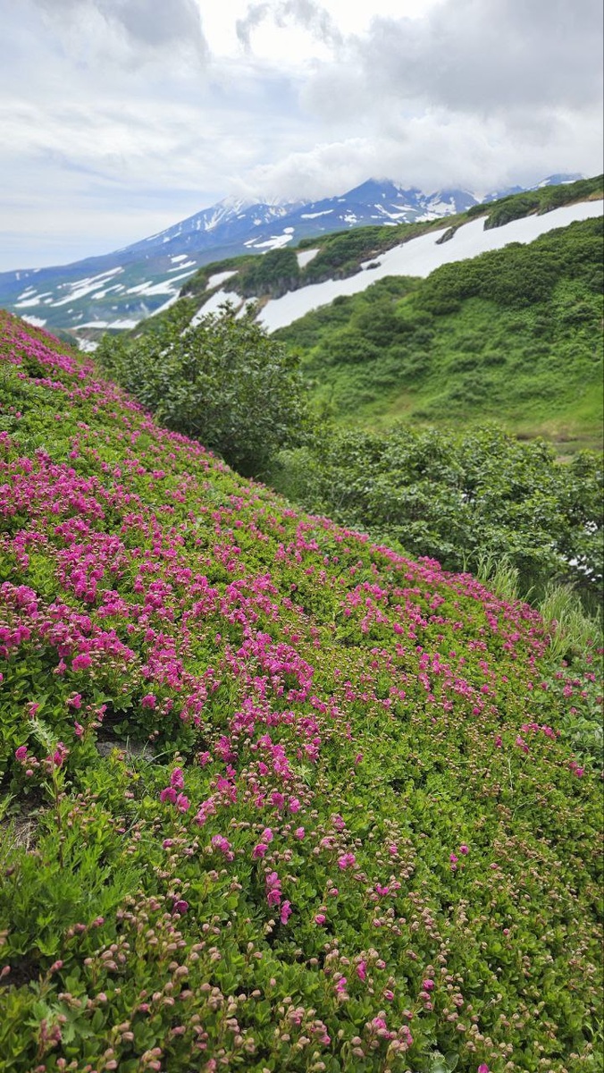 Камчатка - край гигантов, где земля дышит огнём