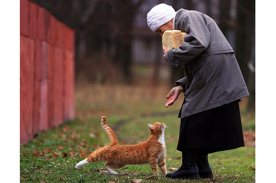 Фото: Владимир Смирнов/ТАСС