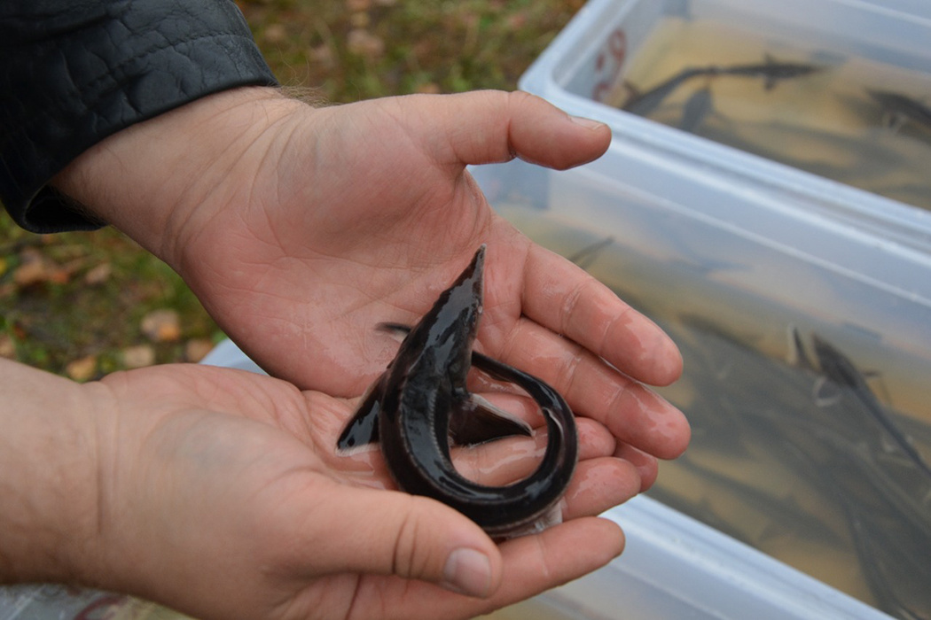    Фото: пресс-служба УГМК