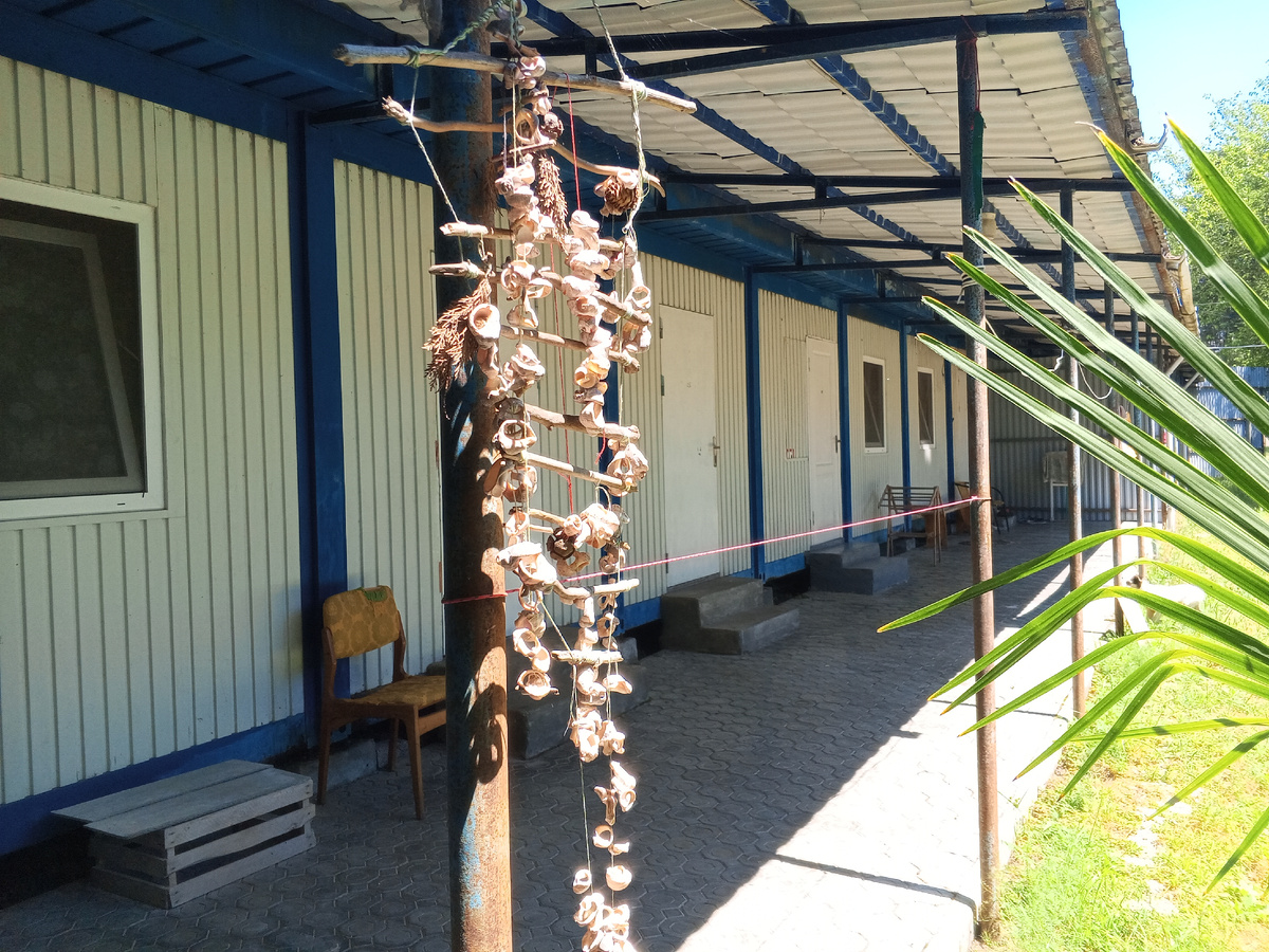 Третий корпус, Айтар-2025