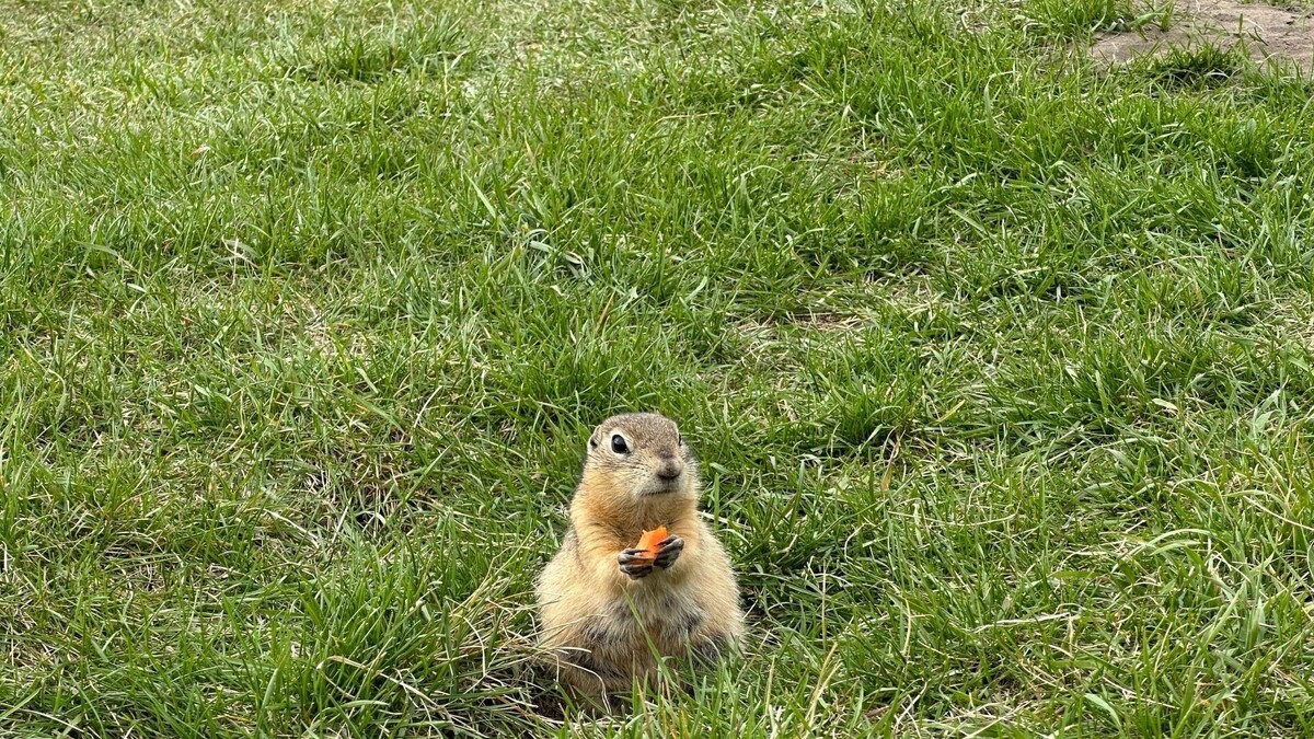     Источник: prmira.ru