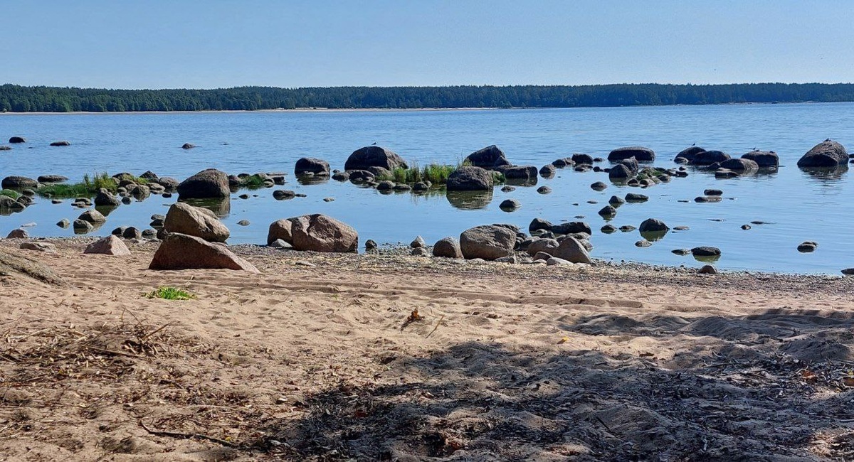 Бухта Желтая