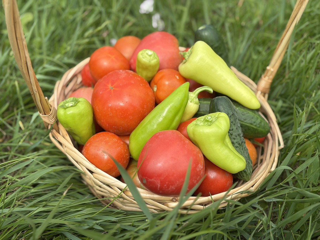 Фото: Правительство Курской области