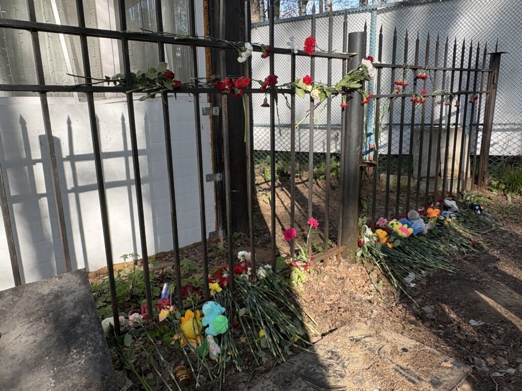    Фото: В курсе.ру Полина Анкушина