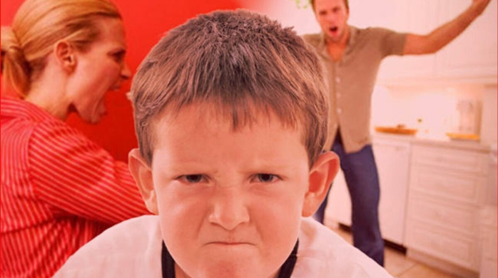    Агрессия ребёнка как крик о помощи