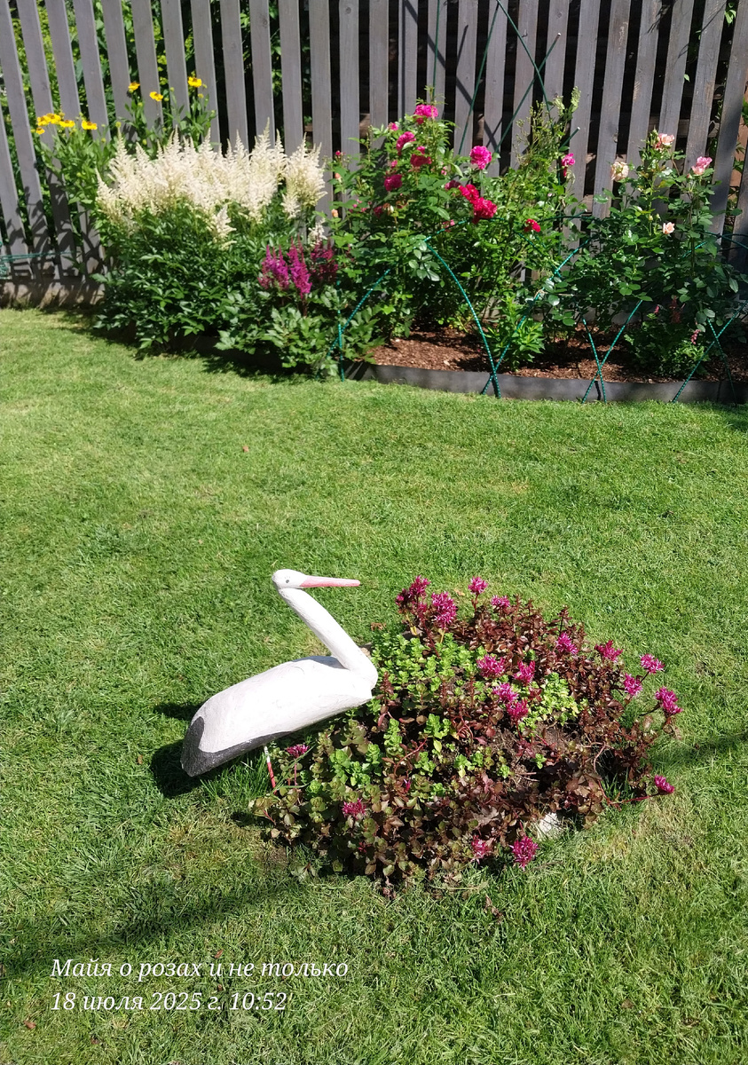 Примерно двое суток в саду было очень красиво 