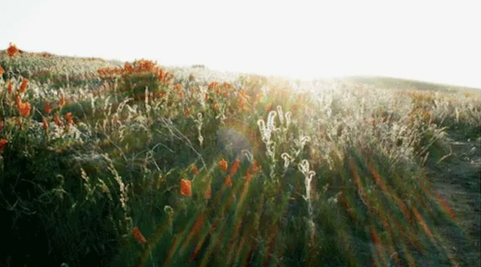 яндекс поиск