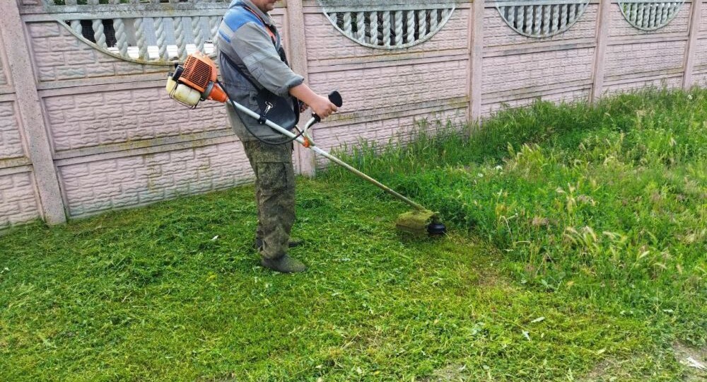 Кто и на каком расстоянии должен скашивать траву возле частного дома: что говорит закон и за что могут оштрафовать