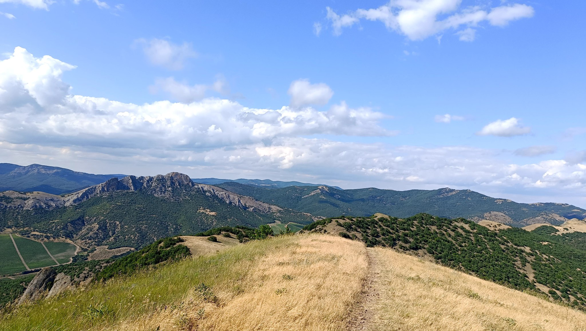 по таким протоптанным дорожкам идём