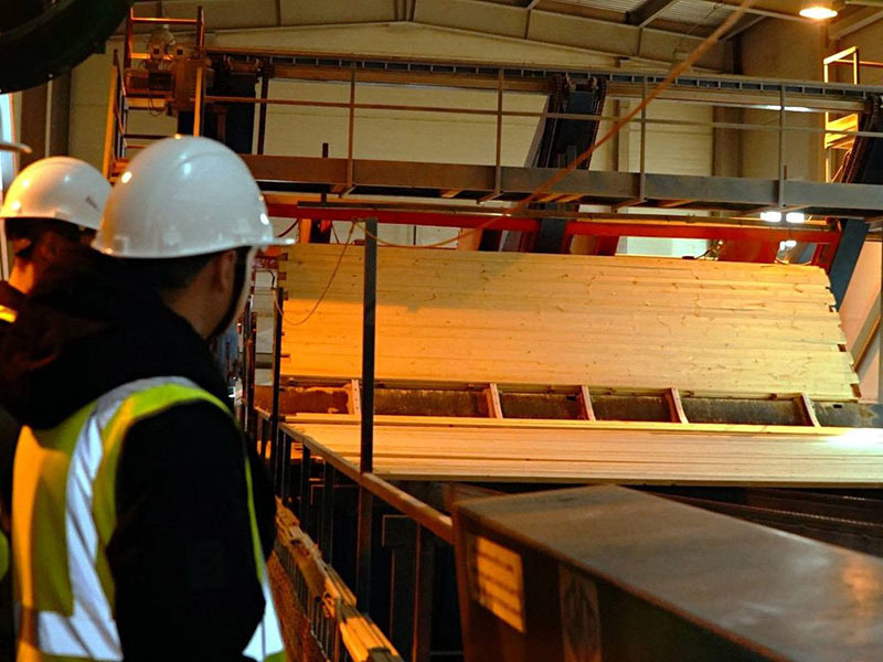 Фото: пресс-служба Segezha Group