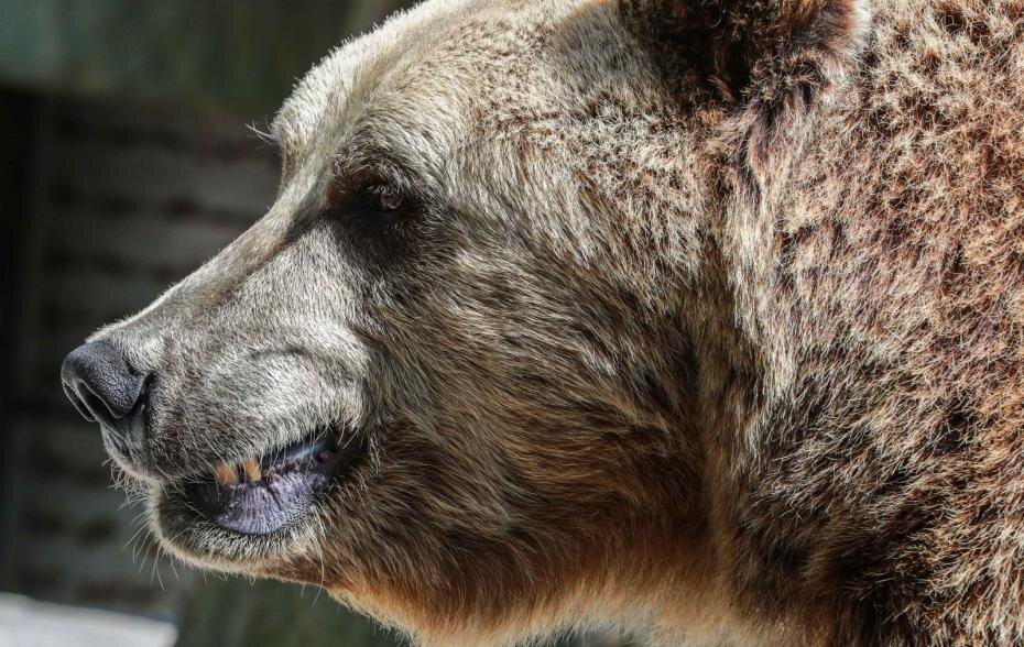    Сергей Булкин/NEWS.ru