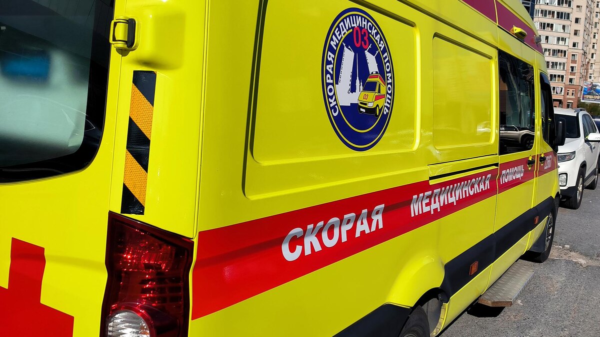    Фото: Maksim Konstantinov/globallookpress.com