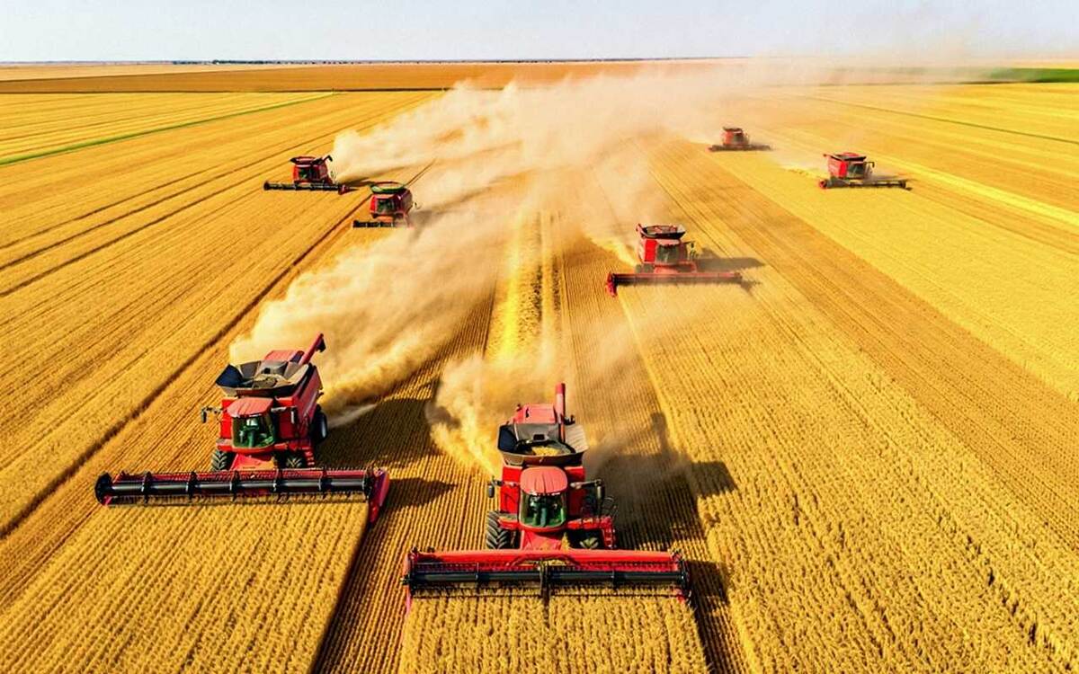    Воронежские аграрии собрали первый миллион тонн зерна нового урожая Константин Толоконников