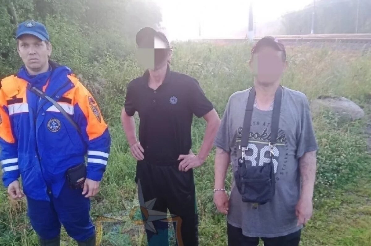    Двое мужчин заблудились в лесу Ленобласти