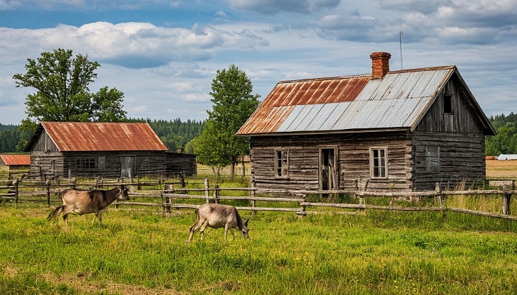    Фото: Шедеврум