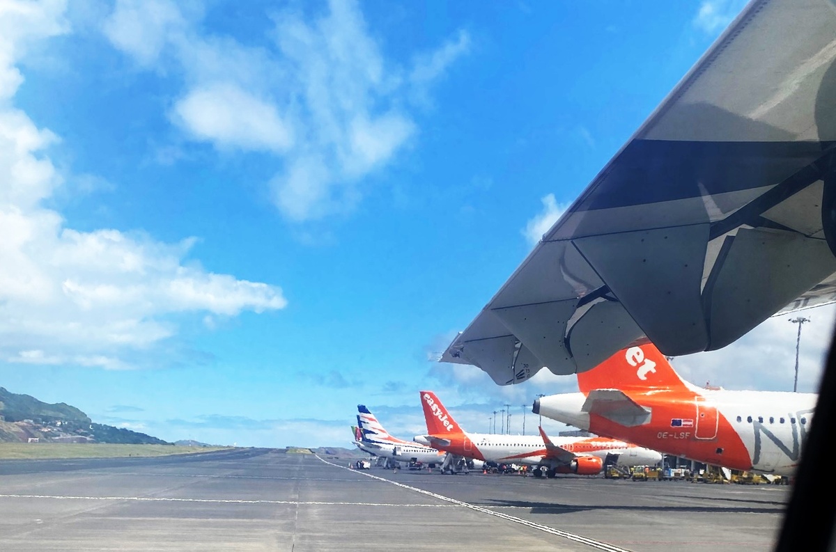 Фото автора. 2025