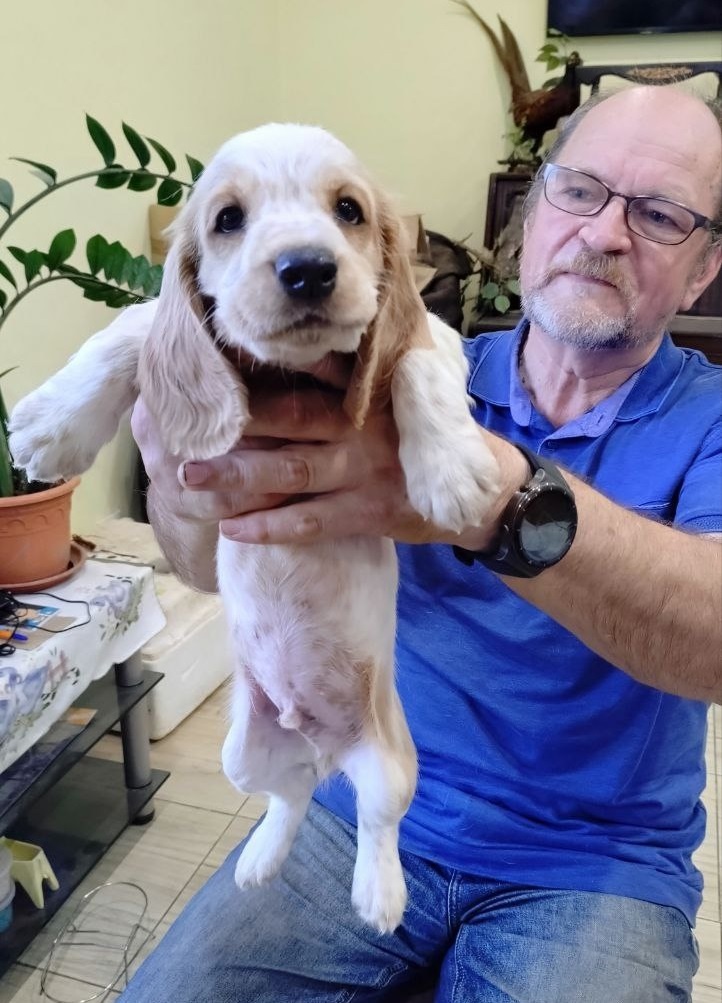 Кинолог, эксперт Леус Олег Анатольевич