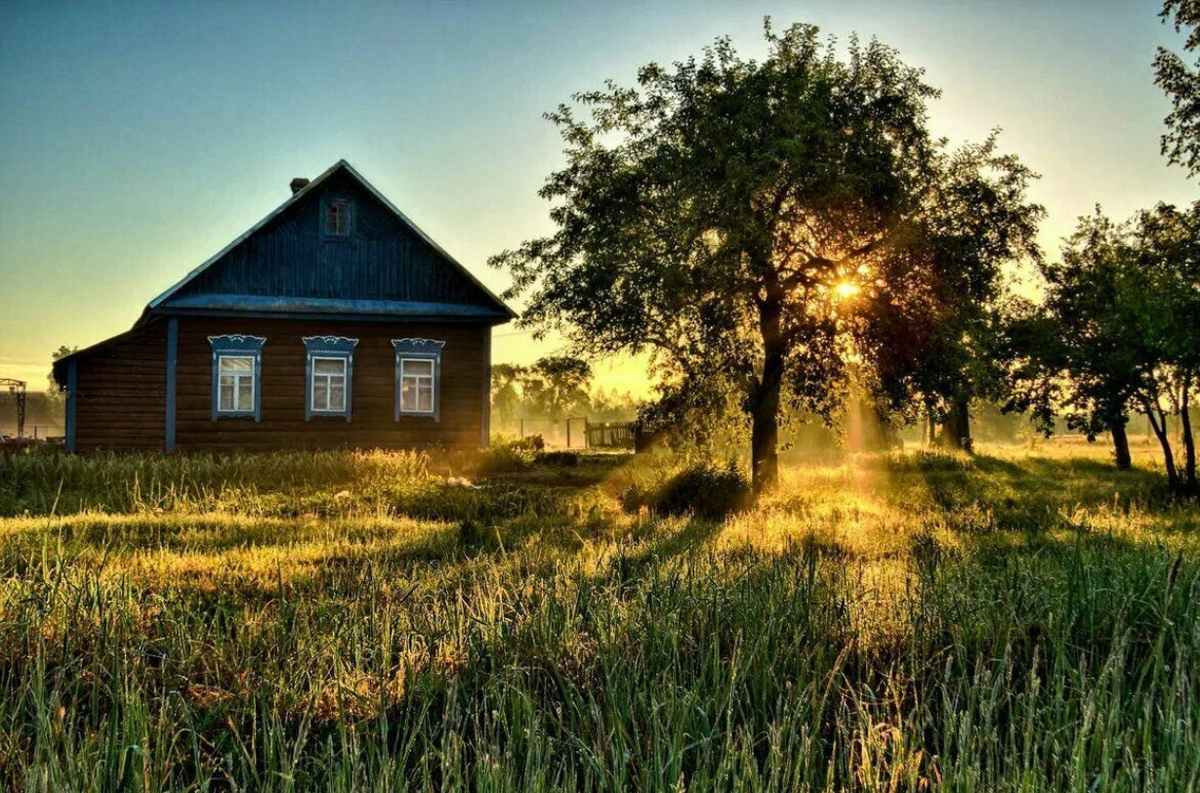 Яндекс картинки