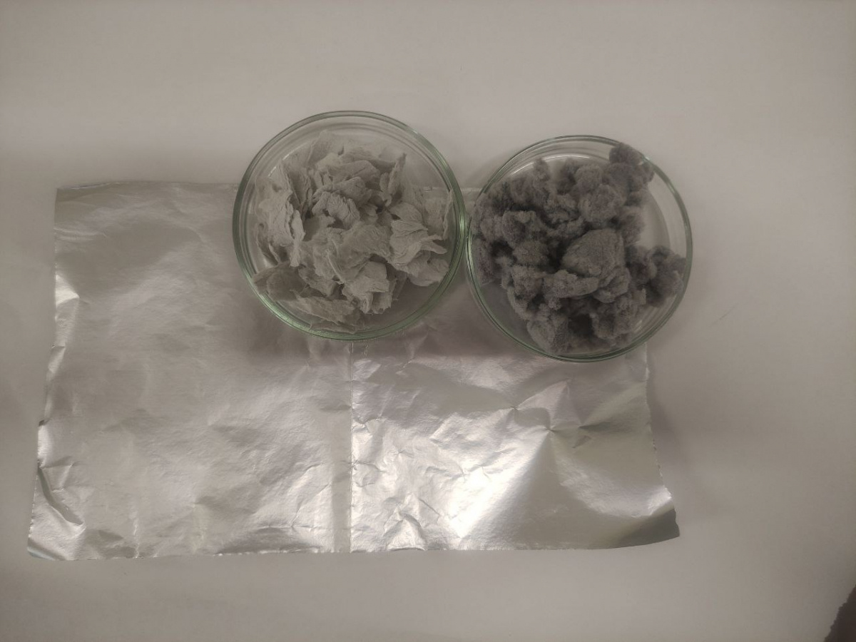 Фото: Ольга Носкова