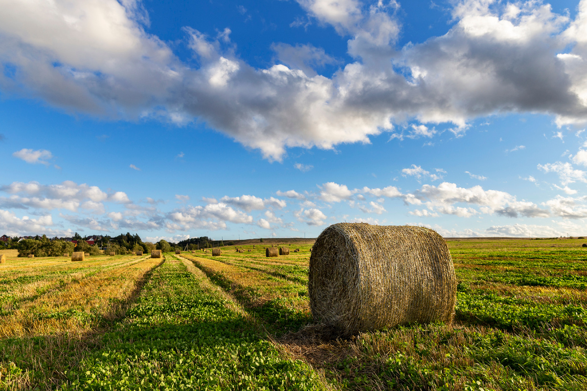 фото:Aleksey Smyshlyaev/Global Look Press