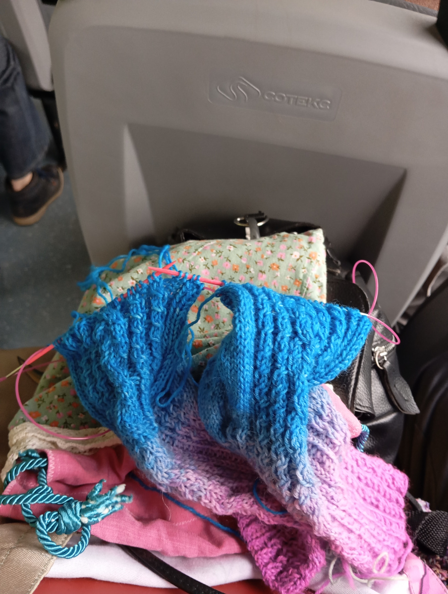 Я вязала по дороге из деревни в автобусе 