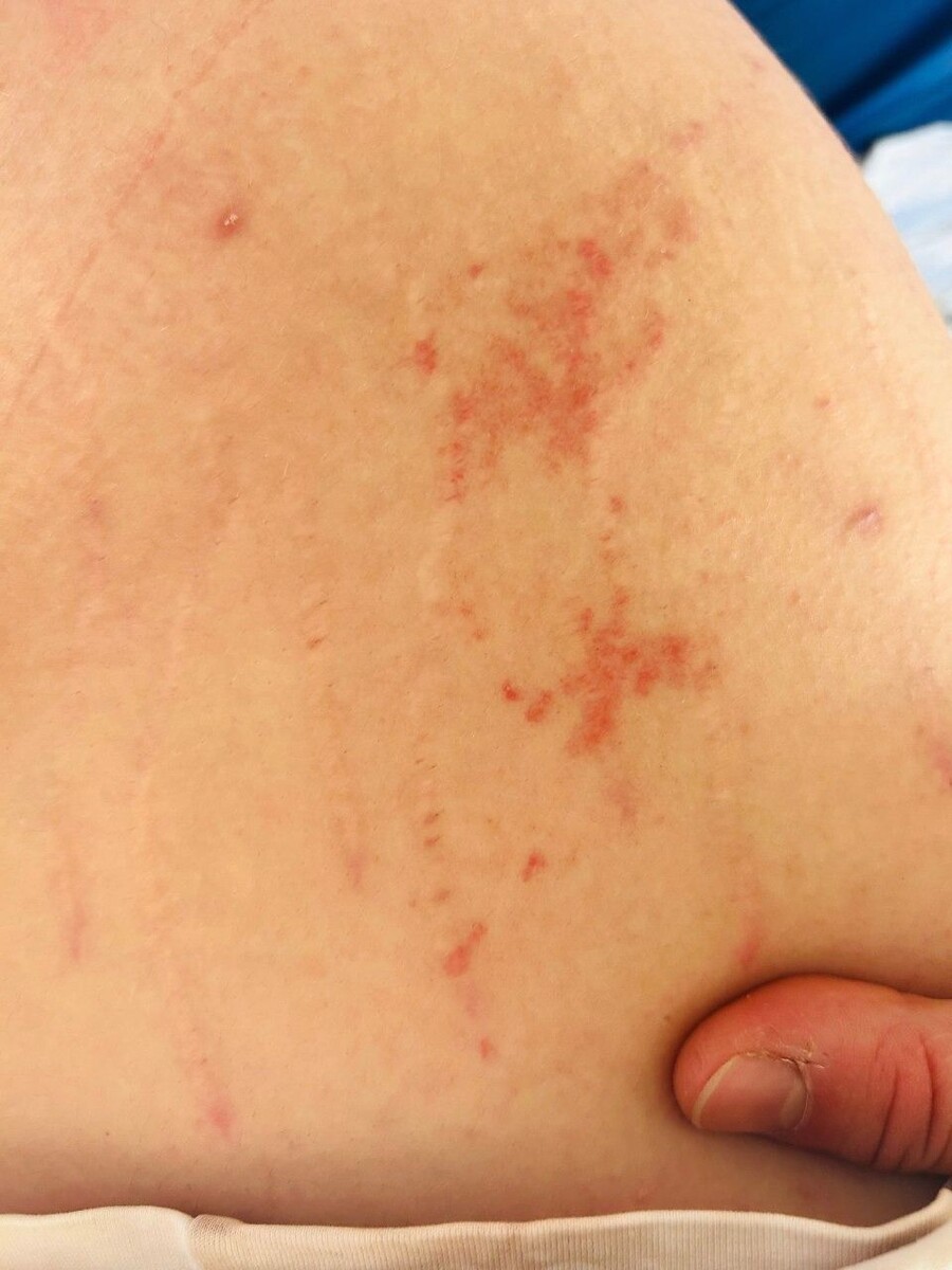     Источник: vkb2